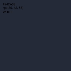 #242A38 - Ebony Clay Color Image